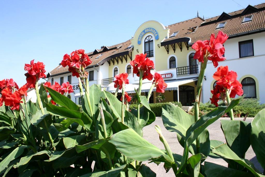 Hotel Orchidea Balastya Екстер'єр фото