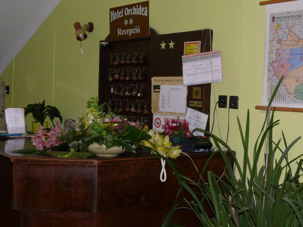 Hotel Orchidea Balastya Екстер'єр фото